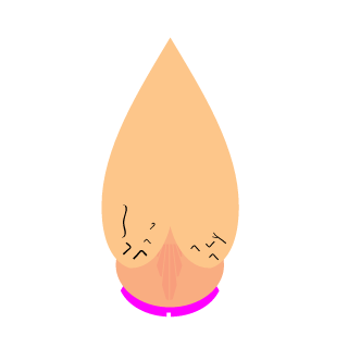 Im SimoS's emblem