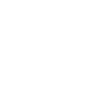 FlipDaScriptOnEm's emblem