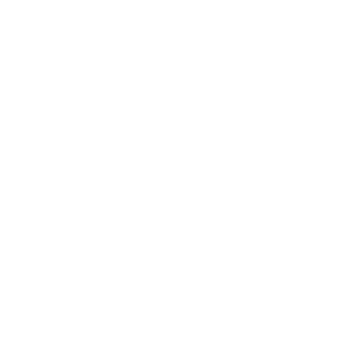 Dsquad's emblem