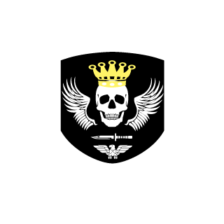 FeIPer208's emblem