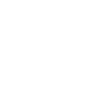 TiagoSilverius's emblem