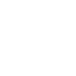 FireWalllSP's emblem