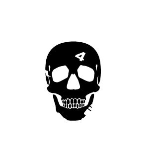 phoenixfire40's emblem
