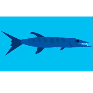 Barracuda-of-war's emblem