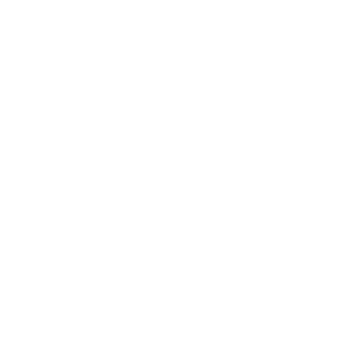 WizDom_Himself's emblem