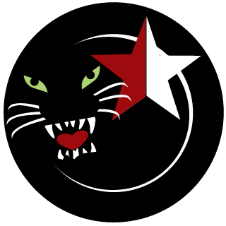 Crysler41's emblem