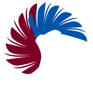 Lukk1989's emblem