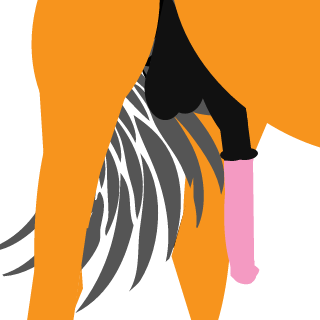 ChaosNoodle6's emblem