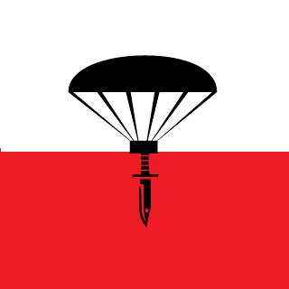 MIEDZIANY's emblem