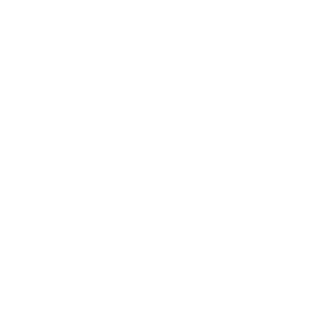 Firefly2466's emblem