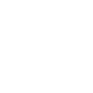 ToXicReasons's emblem