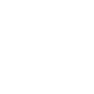 USAorbust's emblem