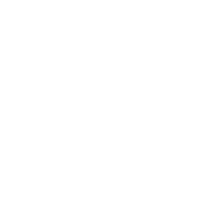 Evizzers's emblem