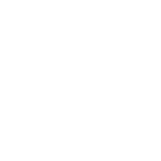 Zhe_almighty's emblem