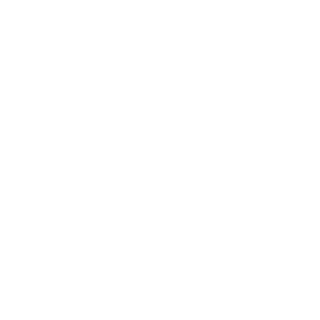 JBoX221's emblem