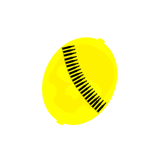 LemonArmy147's emblem