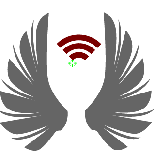 flashcka's emblem