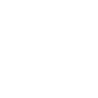 SneakyTurtle2542's emblem