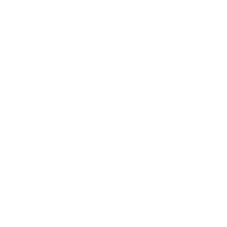 DivemasterGER's emblem