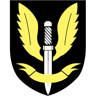 22nd Special Air Servi's emblem