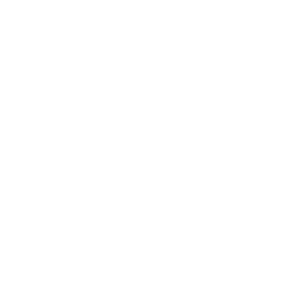 ZerosLegion's emblem