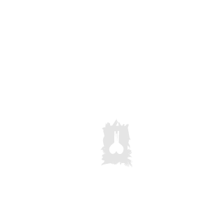 AeroMage_V's emblem