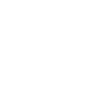 HULY_GUN's emblem