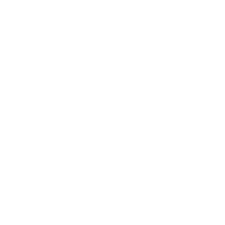 E-MAN420_X's emblem