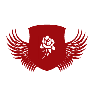 WHY NOT 853's emblem