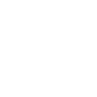 AutoSystemLevel's emblem