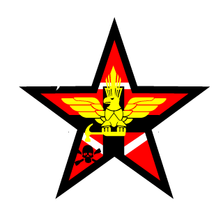 IBRAeXpert's emblem
