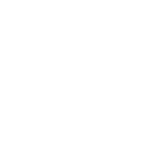 69fc591f0c52c80a's emblem
