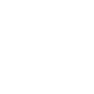 zeus29106's emblem