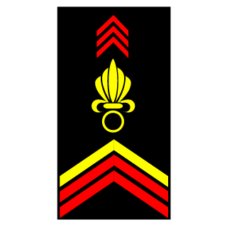 CaporalRonin's emblem