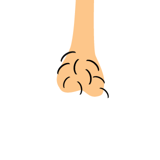 brandonvang1's emblem
