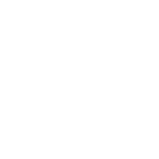 powerpersia's emblem