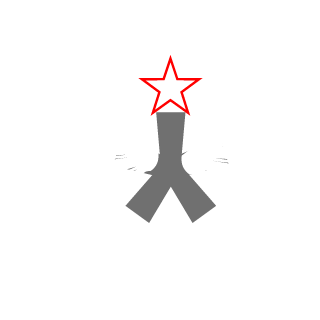 Balagurr_tv's emblem