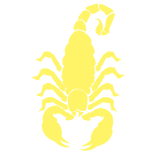 promoteon's emblem