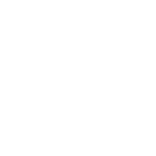 n0a1m's emblem