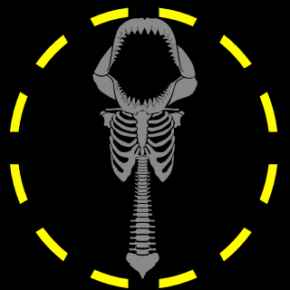 1108k224's emblem