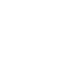 AXMET_mozgov_NET's emblem