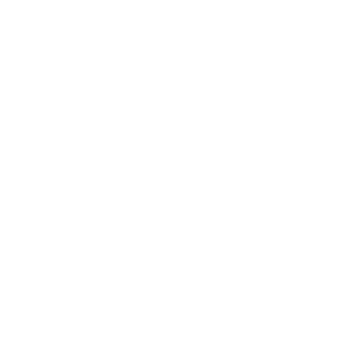 a2fe0f41b99965fc's emblem