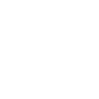 N0obicon's emblem