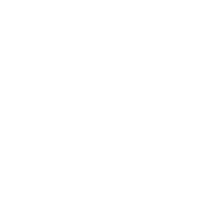 _ev_163's emblem
