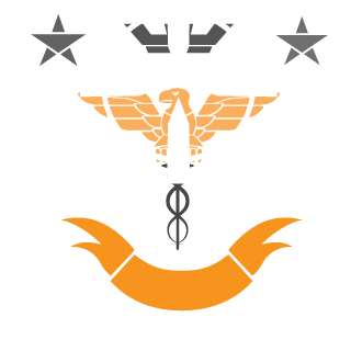 Snwostorm2000's emblem