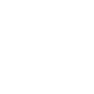 Bishkek-3gecb's emblem