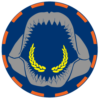 meth0dic_knight's emblem