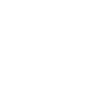 Pesti_PT's emblem