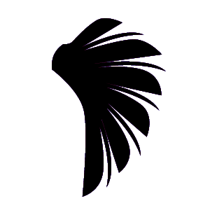 pinooochio's emblem