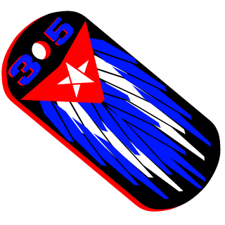Oo_V1K1NG_oO's emblem